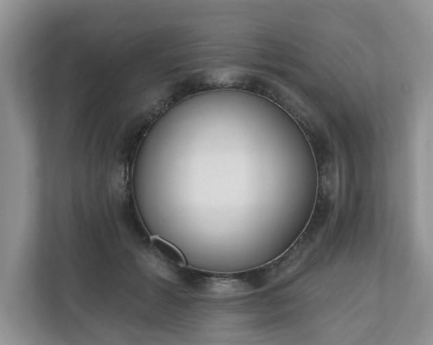 X0000110900605200906251339