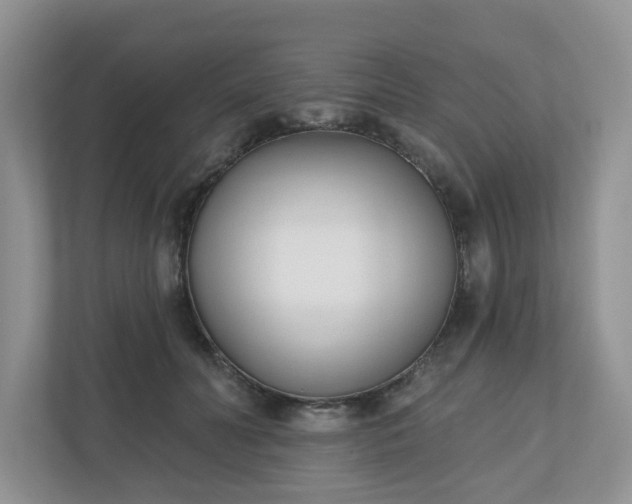 X0000110900606200906251339
