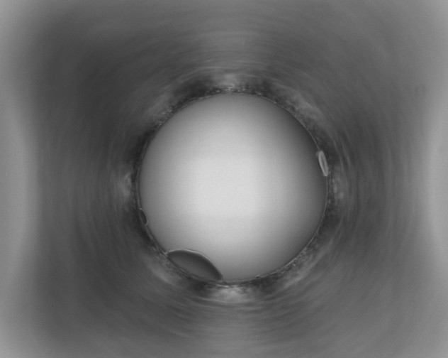 X0000110900611200906251339
