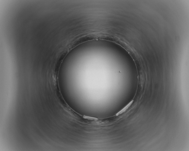 X0000110900613200906251339