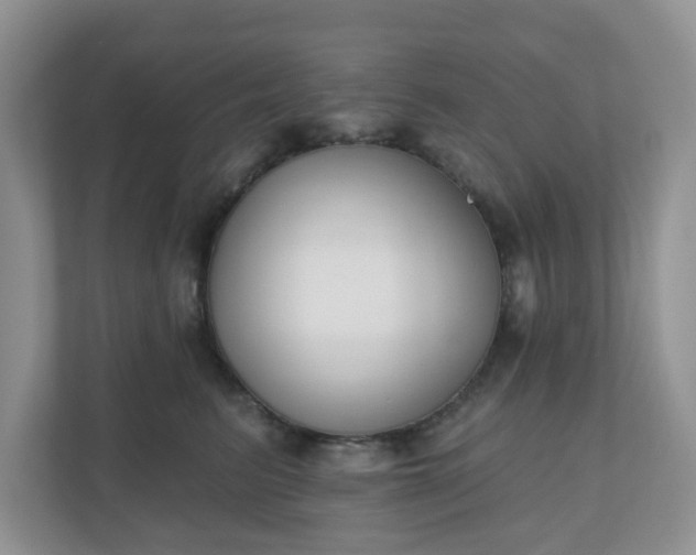 X0000110900615200906251339