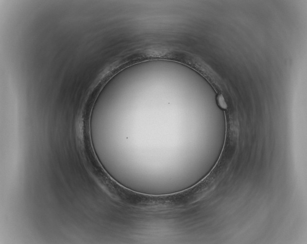 X0000110900626200906251338