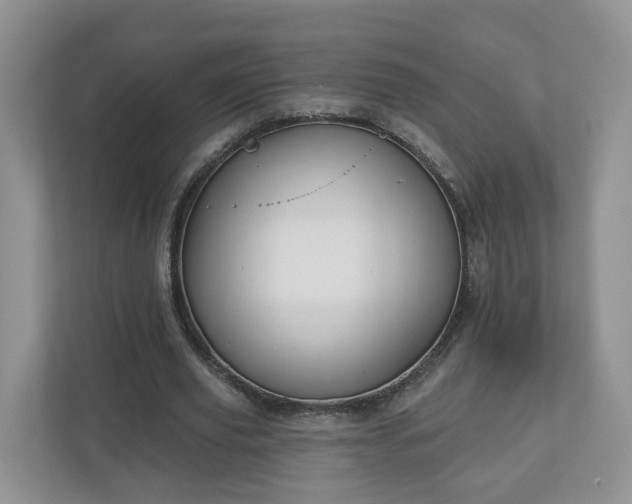 X0000110900629200906251338