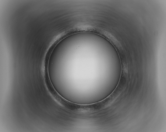 X0000110900630200906251338