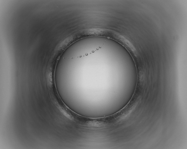 X0000110900633200906251338