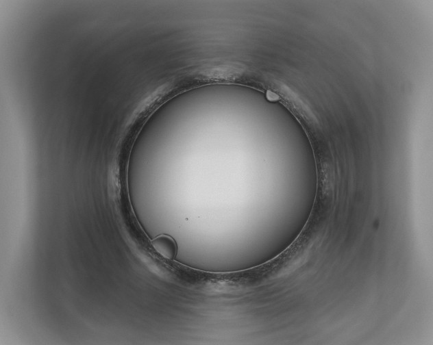 X0000110900634200906251338