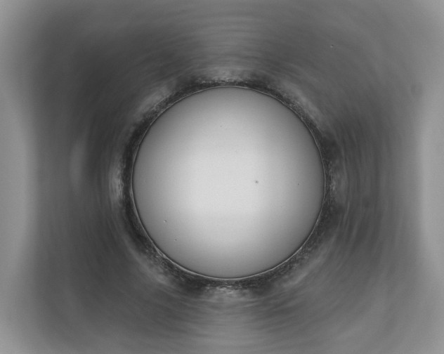 X0000110900635200906251338
