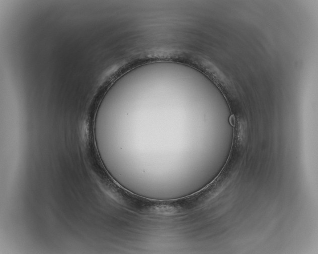 X0000110900636200906251338