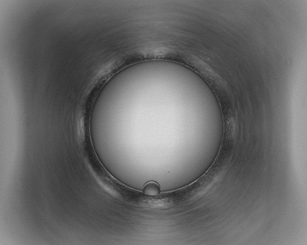 X0000110900638200906251338