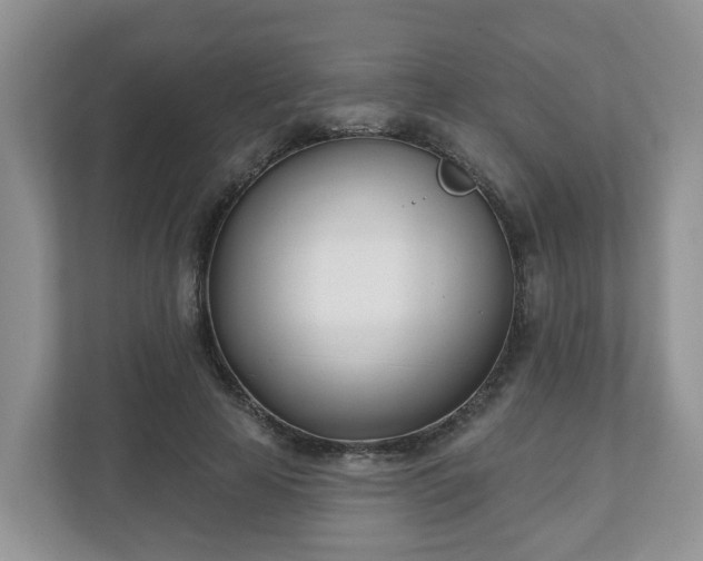 X0000110900641200906251338