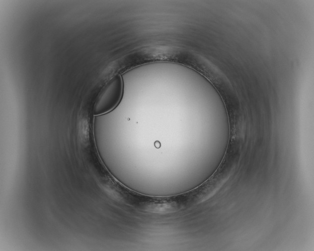 X0000110900646200906251338
