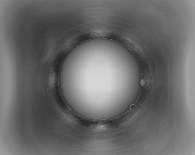 X0000110900647200906251338