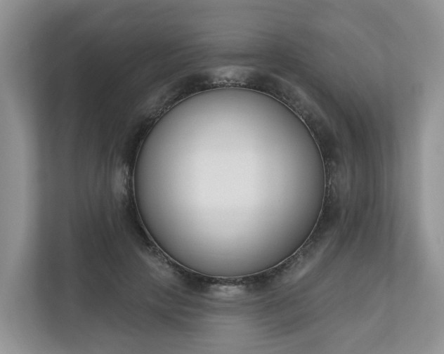 X0000110900649200906251338