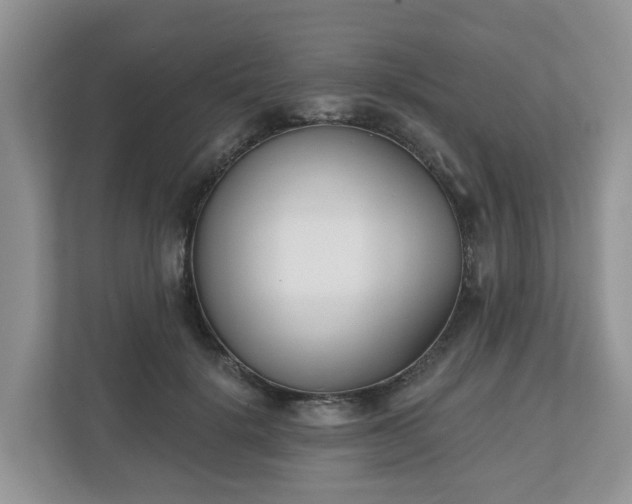 X0000110900652200906251338