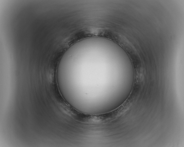 X0000110900656200906251338