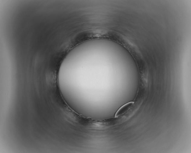 X0000110900657200906251338