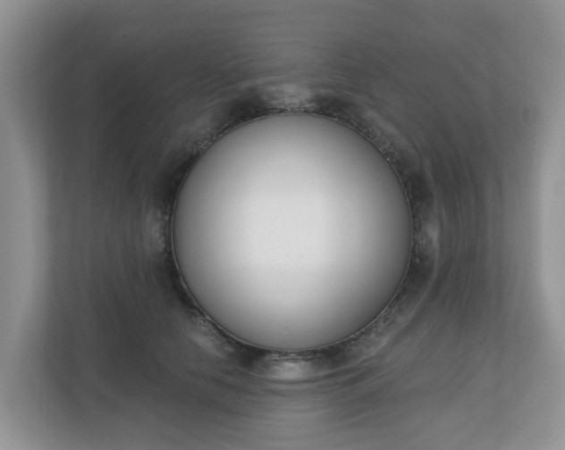 X0000110900658200906251338