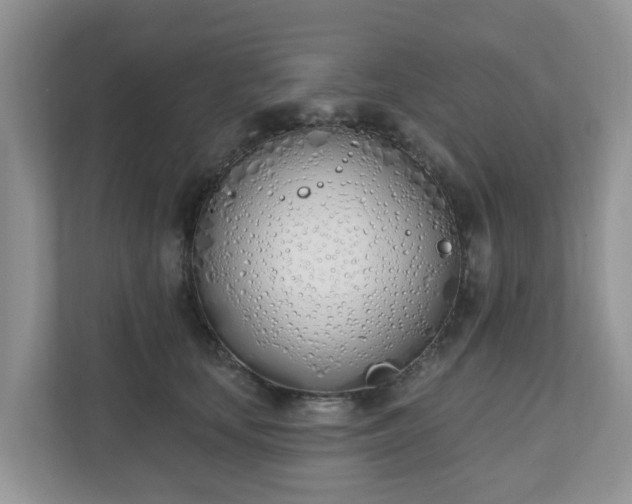 X0000110900659200906251338