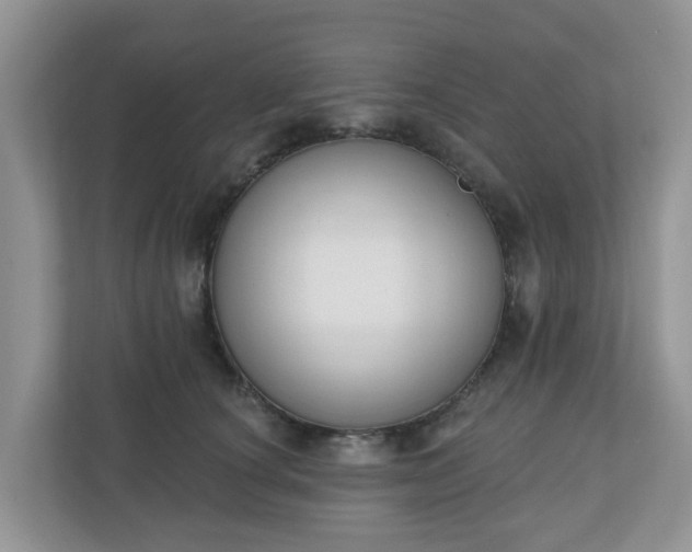 X0000110900660200906251338