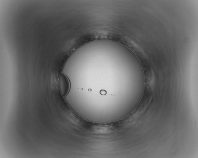 X0000110900661200906251338