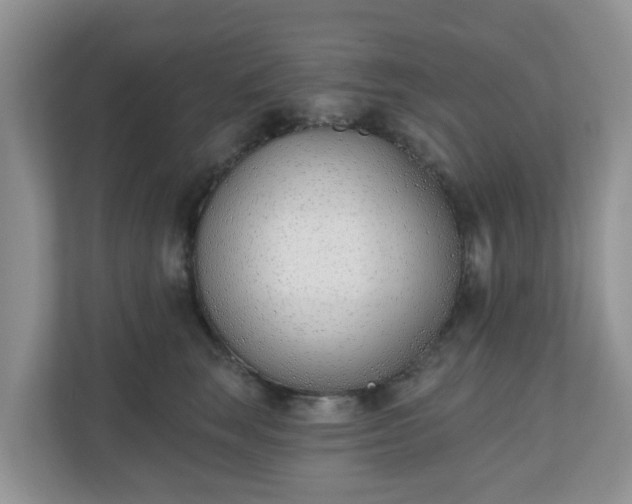 X0000110900663200906251338
