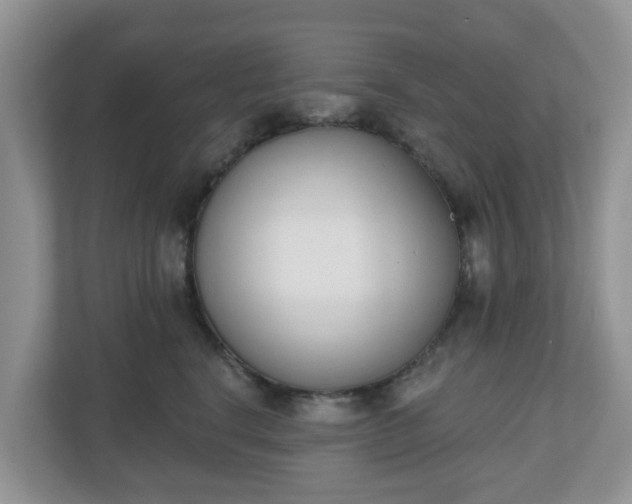 X0000110900664200906251338