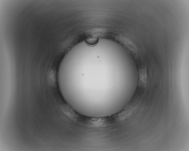 X0000110900667200906251338