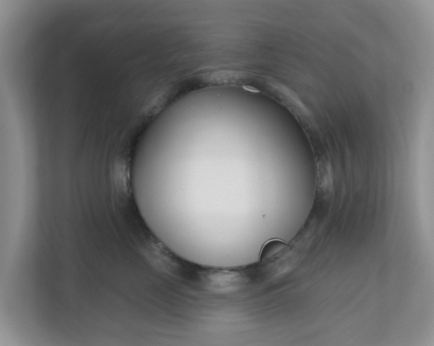X0000110900669200906251339