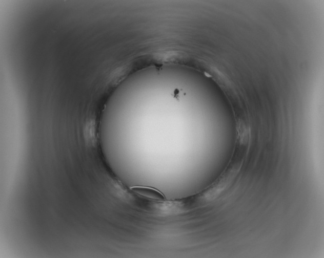 X0000110900670200906251339