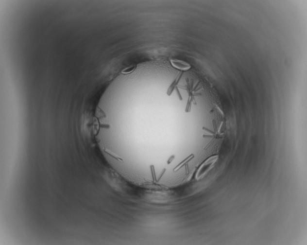 X0000110900671200906251339