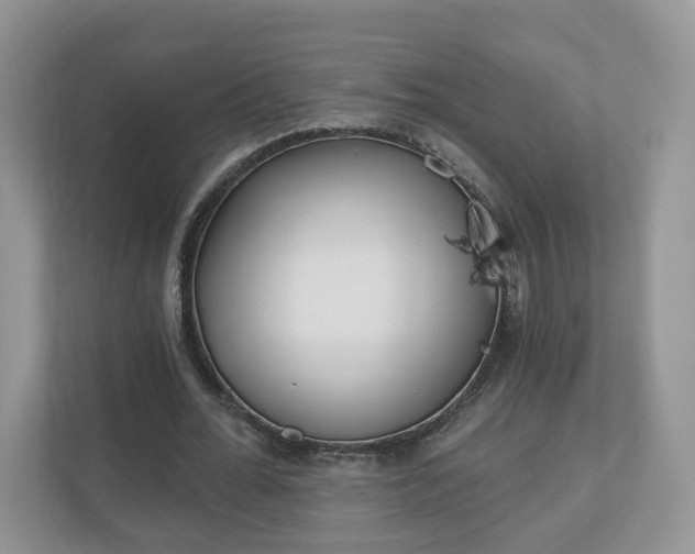X0000110900676200906251338