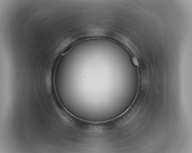 X0000110900677200906251338