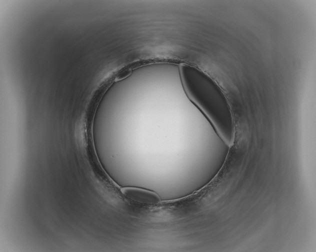 X0000110900680200906251338