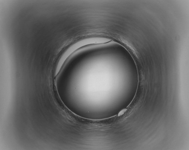 X0000110900681200906251338