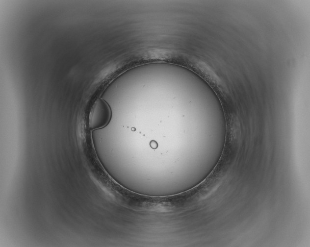 X0000110900683200906251338