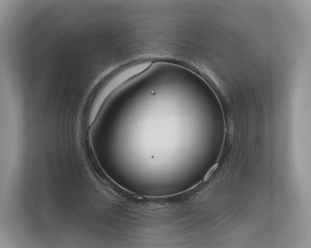 X0000110900684200906251338