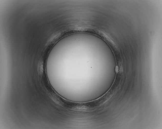 X0000110900685200906251338