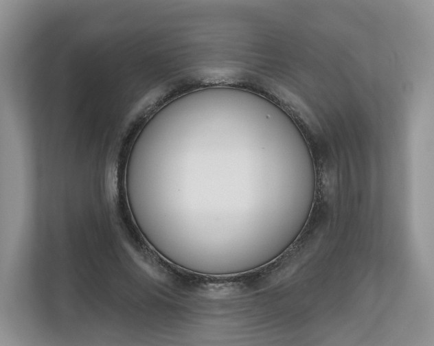 X0000110900686200906251338