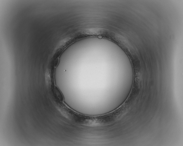 X0000110900688200906251338