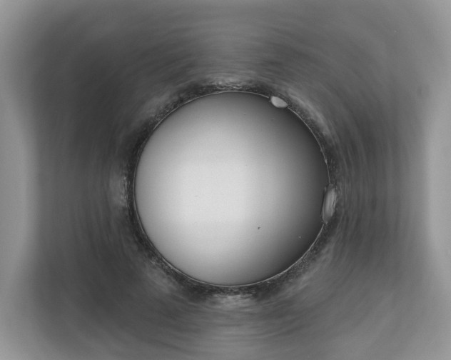 X0000110900689200906251338