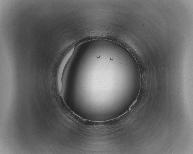 X0000110900692200906251338