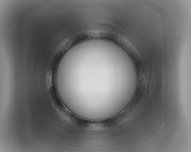 X0000110900694200906251338