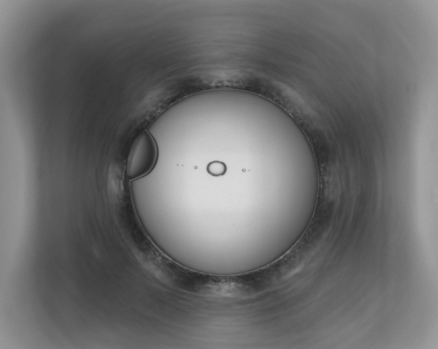X0000110900695200906251338