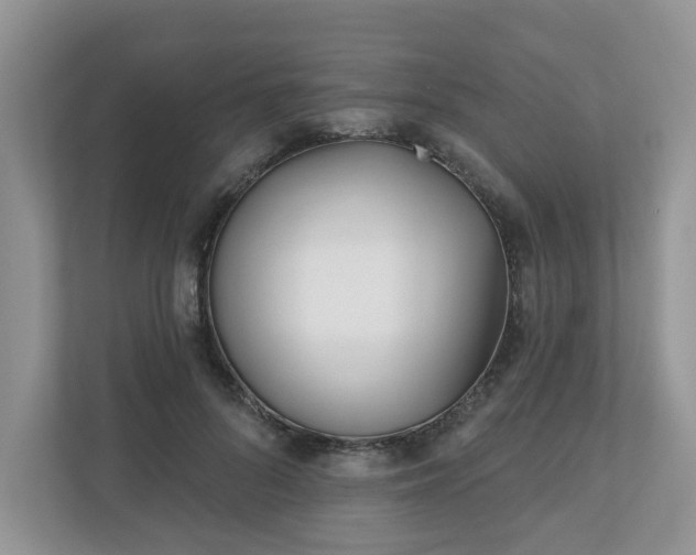 X0000110900696200906251338