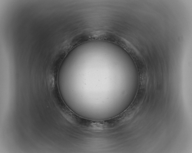 X0000110900703200906251338