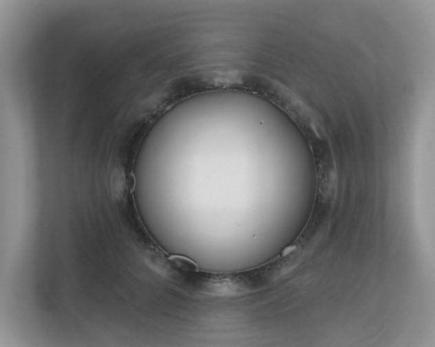 X0000110900704200906251338
