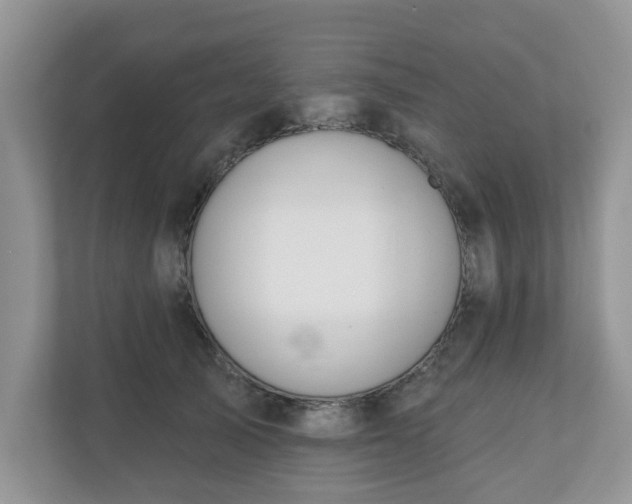 X0000110900705200906251337