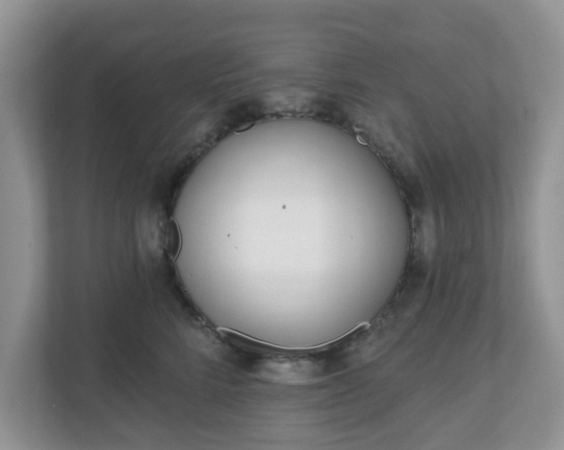 X0000110900712200906251337