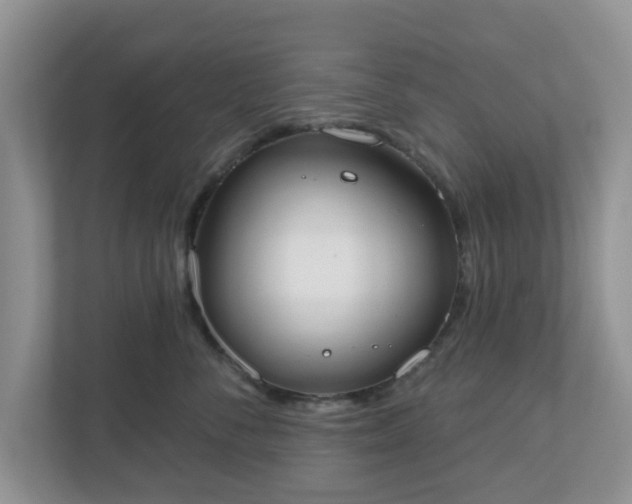 X0000110900716200906251337