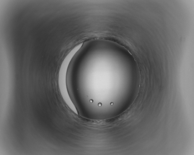 X0000110900720200906251337